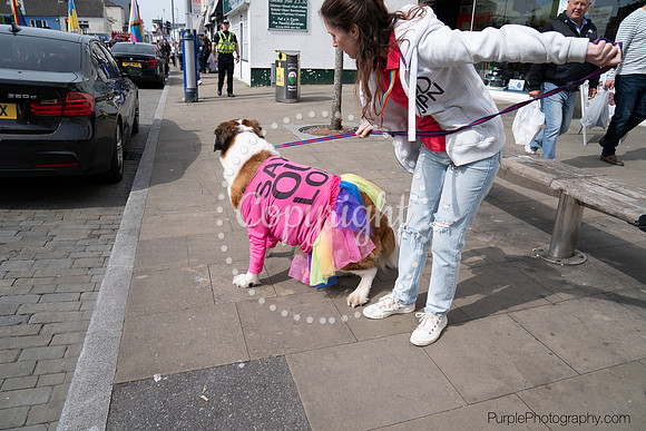 PRIDE2022-395
