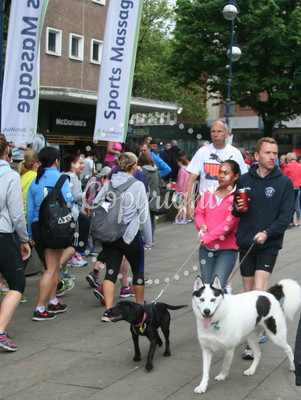 Half Marathon - Swansea - 2015