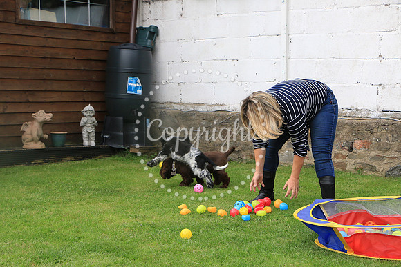 George-&-Daisy-038