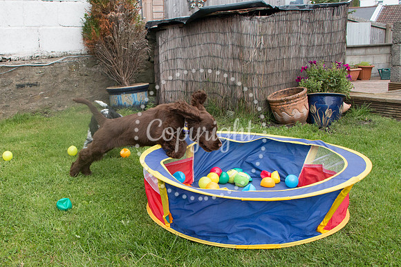 George-&-Daisy-063