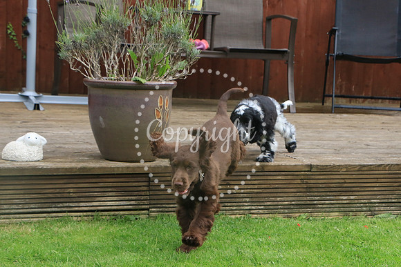 George-&-Daisy-074