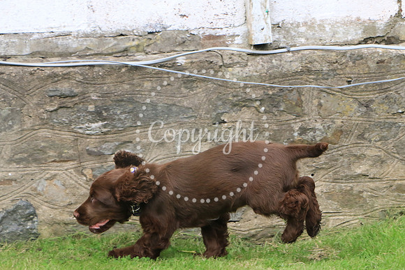George-&-Daisy-130