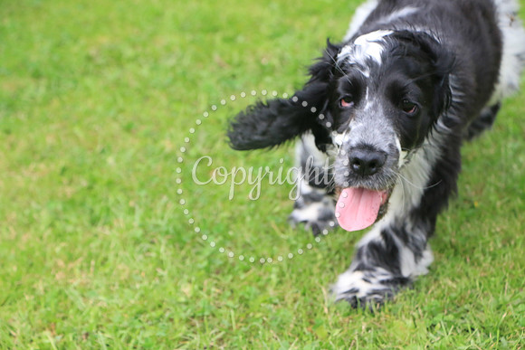 George-&-Daisy-138
