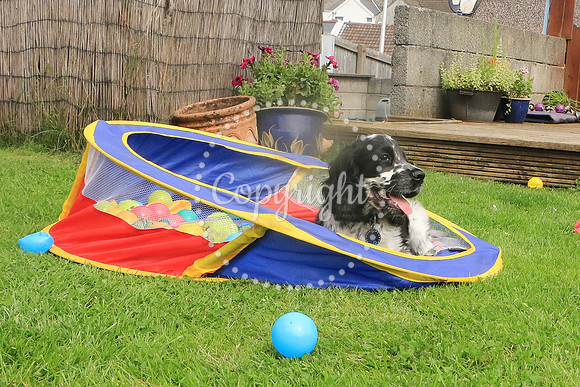 George-&-Daisy-156