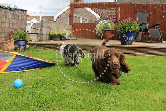 George-&-Daisy-162