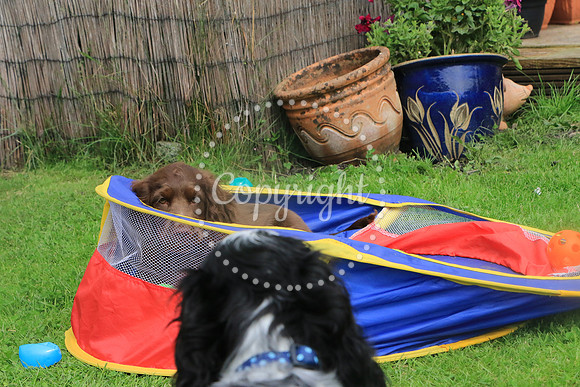 George-&-Daisy-166