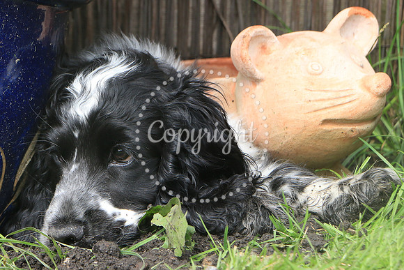 George-&-Daisy-196