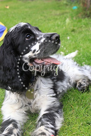 George-&-Daisy-199