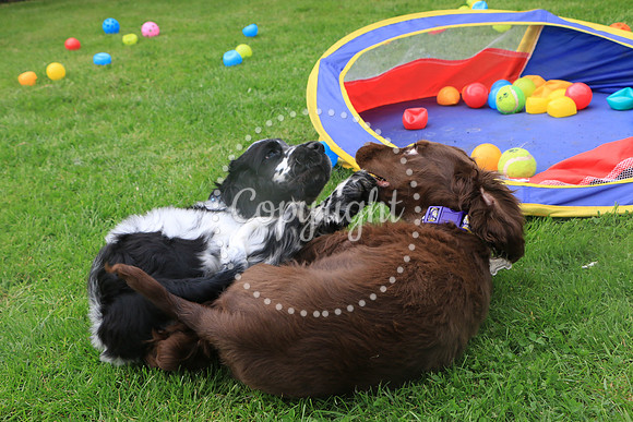 George-&-Daisy-216