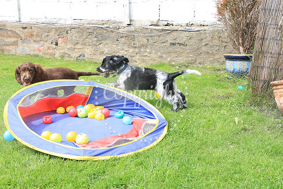 George-&-Daisy-242