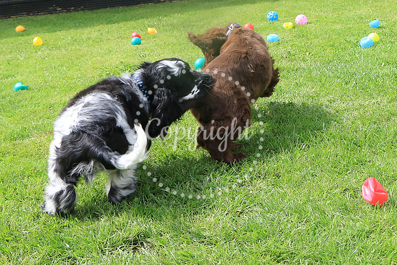 George-&-Daisy-282