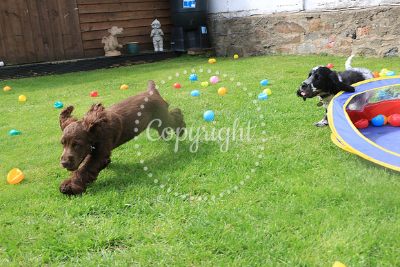 George-&-Daisy-316