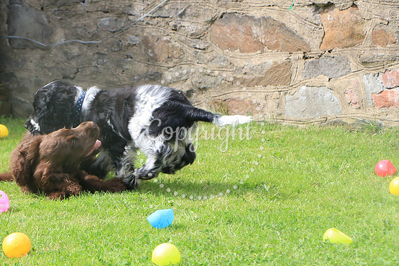 George-&-Daisy-328