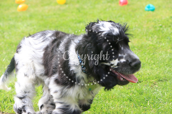 George-&-Daisy-334