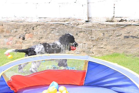 George-&-Daisy-406