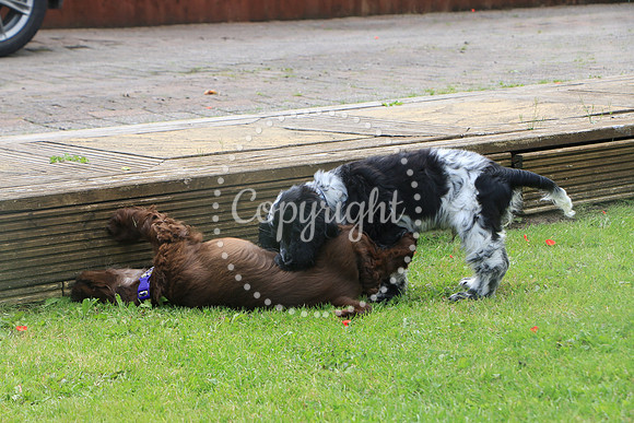 George-&-Daisy-452