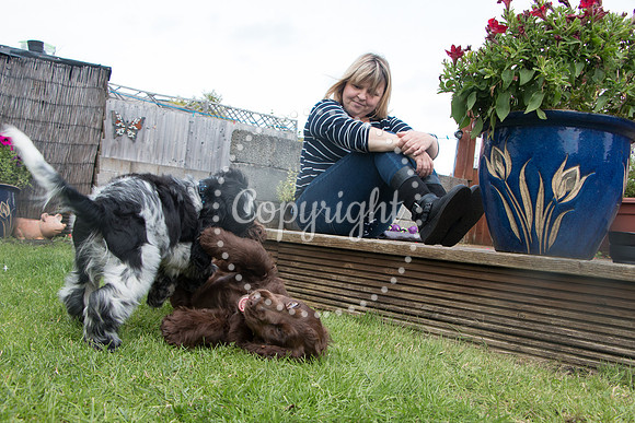 George-&-Daisy-475