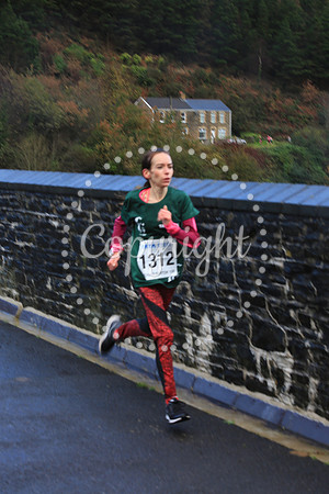 RichardBurton10k-2017-234