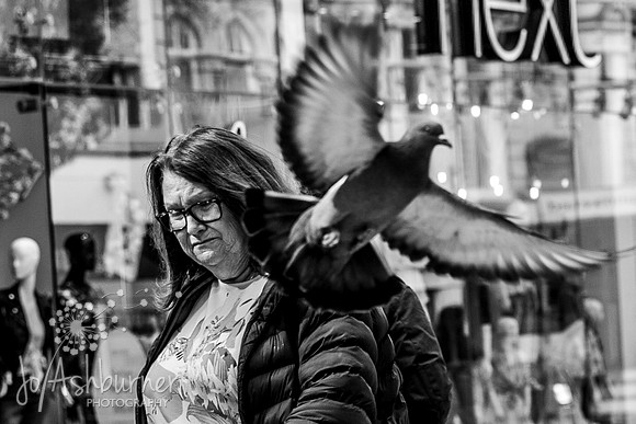 Street (5)