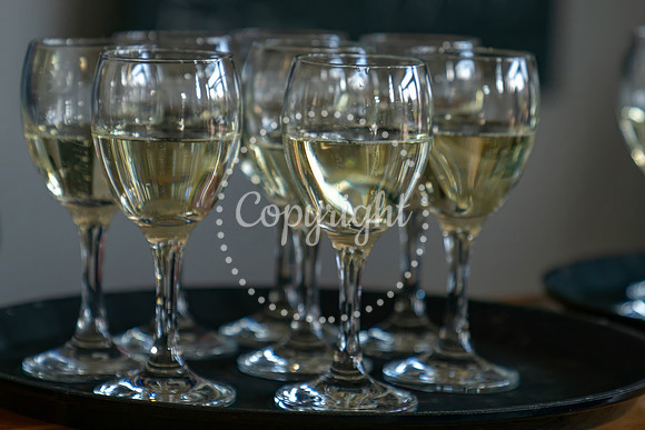 100th Bday-018-z
