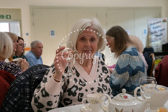 100th Bday-518-z