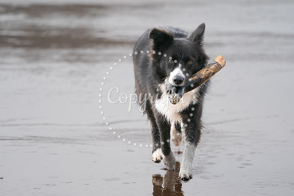 Langland03-2024-115