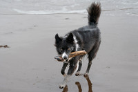 Langland03-2024-243