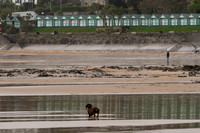 Langland03-2024-289
