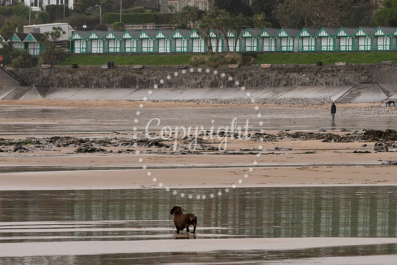 Langland03-2024-289
