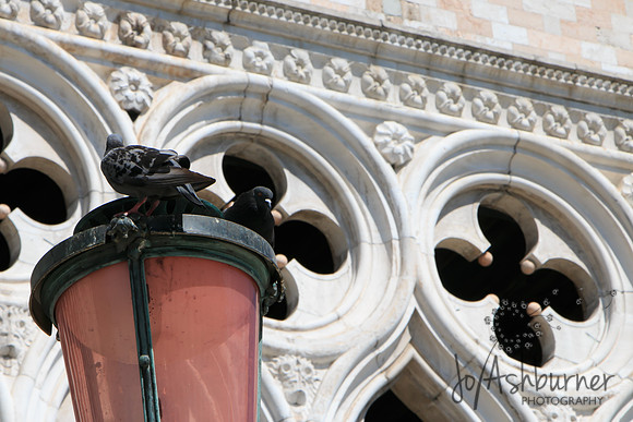 Venice-102