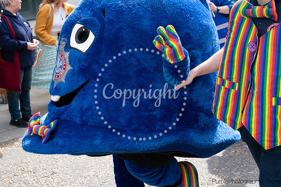 PRIDE2022-244